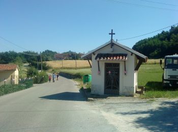 Percorso A piedi Arzignano - Sentiero Blu - Photo