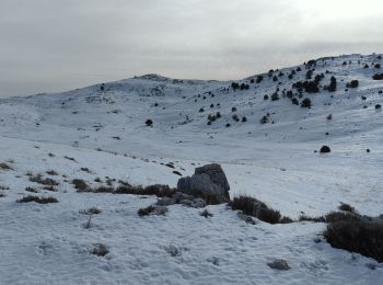 Tour Schneeschuhwandern Gréolières - Greoliere Croix de verse - Photo