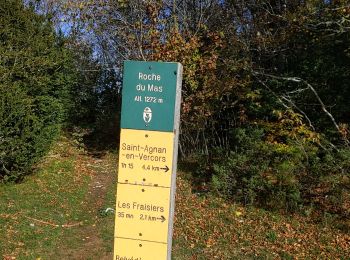 Trail Walking Vassieux-en-Vercors - la roche du Mas et les scialets  - Photo