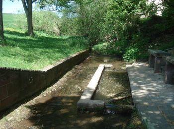 Tour Zu Fuß Esselbach - Kulturweg Esselbach - Photo