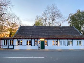 Randonnée A pied Inconnu - Terassenweg [Boberger Niederung] - Photo