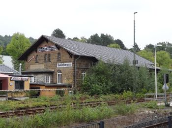 Tocht Te voet Bad Driburg - VitalWanderWelt - Südlicher Sachsenring Bad Driburg - Photo