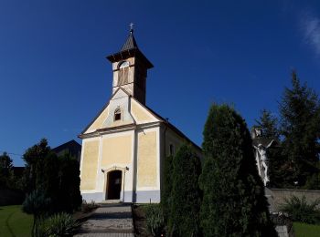 Percorso A piedi Bükkszentkereszt - S+ (Bükkszentkereszt - Bükkszentlászló) - Photo