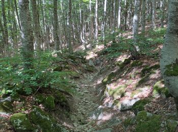 Tour Wandern San Marcello Piteglio - Rifugio Casetta Pulledrari - Monte Gennaio - version facile - Photo