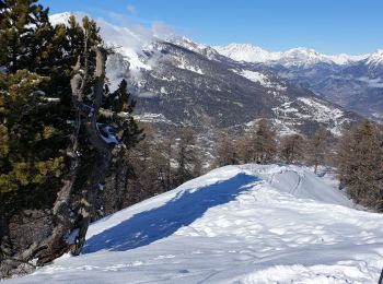 Randonnée Raquettes à neige Risoul - risou - Photo