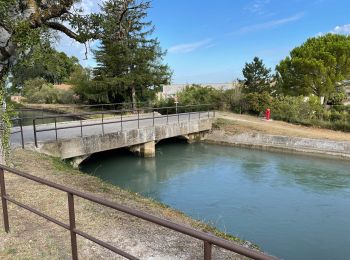 Randonnée Marche Taillades - PF-Taillades - Blancamp - L'Aiguille - Chapelle St Gens - Photo