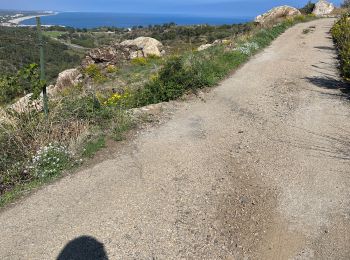 Trail Electric bike Argelès-sur-Mer - Mar y mont 2022 - Photo