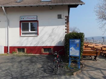 Tour Zu Fuß Gründau - Wanderwege um den Herzberg Nr.5 - Photo
