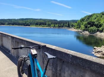 Randonnée Vélo électrique Le Puy-en-Velay - Lac de Lavalette  - Photo