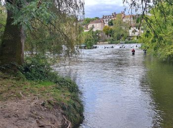 Trail Walking Montigny-sur-Loing - T-Montigny - Photo