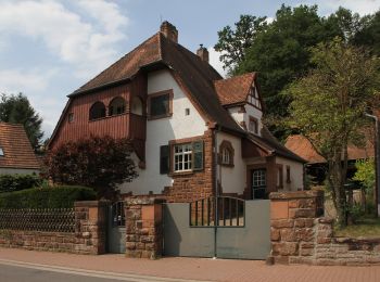 Excursión A pie Bruchweiler-Bärenbach - Napoleon-Steig - Photo