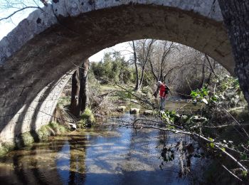 Trail Walking Teyran - Teyran source acqueduc de Castries  - Photo