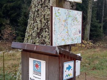 Trail On foot Bischofsmais - Bischofsmais Nr. 17 (Zur Loderhart) - Photo