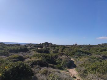 Trail Walking Figari - La testa - Photo