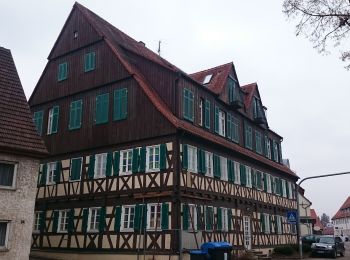 Tour Zu Fuß Alfdorf - Hasenrunde - Photo