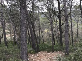 Excursión Bici de montaña Prades-le-Lez - Chatterton  - Photo