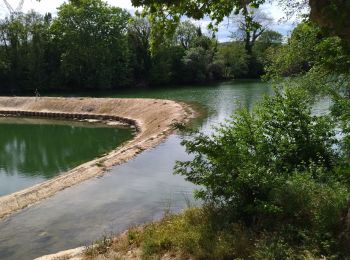 Tour Rennrad Aigues-Vives - 30 Sommières aigues vives - Photo