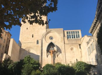 Tour Wandern Marseille - Marseille Vieux-port Cours Lieutaud 20-11-22 - Photo