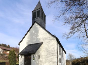 Percorso A piedi Steinwiesen - Leitschgrund-Weg RT 22 - Photo