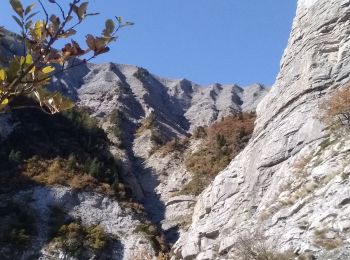 Trail Walking La Fare-en-Champsaur - Le Girolet  - Photo