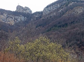 Trail Walking Saint-Jean-d'Arvey - Lovettaz-Monterminod-Razerel-MontBasin-2021-03-03 - Photo