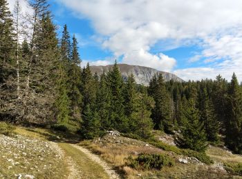 Excursión Senderismo Saint-Agnan-en-Vercors - Pas de la Ville - Photo