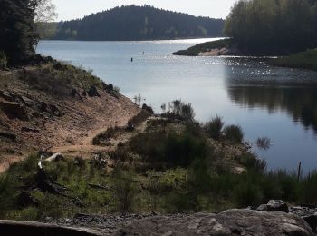 Trail Walking Celles-sur-Plaine - barrage du lac de Pierre percée  - Photo