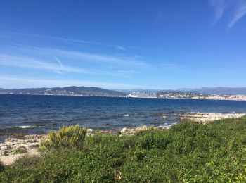 Tour Wandern Cannes - Île Ste Marguerite - Photo