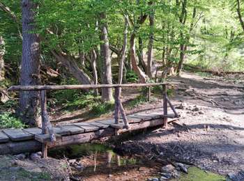Trail Walking Aywaille - Tour du Ninglinspo par le ruisseau du Chefna -  ballade de la mine d'or - Photo