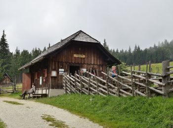 Trail On foot Fischbach - Wanderweg Halterhütt'n - Ziesler Alm - Photo