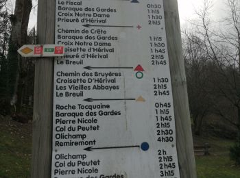 Tour Wandern Remiremont - remiremont roche toquaine par chalet des gardes - Photo