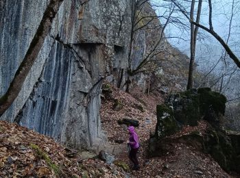 Trail Walking Les Deux Alpes - Le Garcin- Le Ponteil- Bons- La porte Romaine - Photo