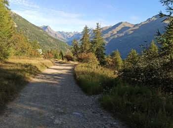 Trail Trail La Salle-les-Alpes - la salle les alpes aravet - Photo