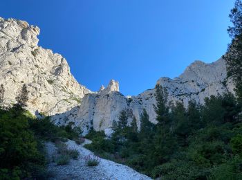 Tocht Stappen Marseille - Croix de Marseilleveyre - Photo