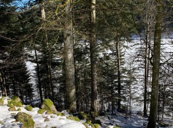 Trail Walking Cornimont - 88 BRABANT réel 25 janv 2022 - Photo