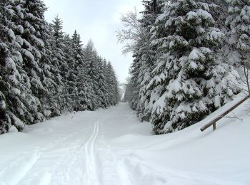 Percorso A piedi Geroldsgrüner Forst - Vochelaweg DÖ 91 - Photo