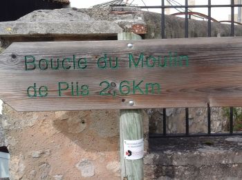 Percorso A piedi Bassanne - Le Moulin de Piis : boucle locale - Photo