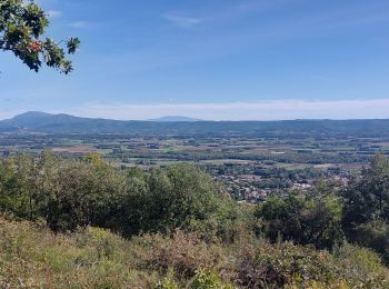 Trail Walking Sauzet - Sauzet Les Grands Abris 7km5 - Photo