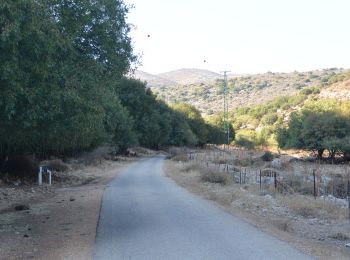 Trail On foot Galil Elyon Regional Council - IL-2136 - Photo