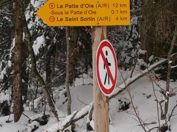 Randonnée Raquettes à neige Cerniébaud - la patte d'oie  - Photo