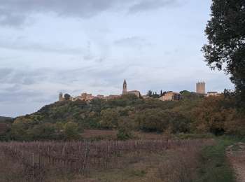 Trail Walking Castillon-du-Gard - Pont du Gard version courte  - Photo