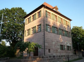 Percorso A piedi Laufamholzer Forst - Hirschenkopf Trail - Photo