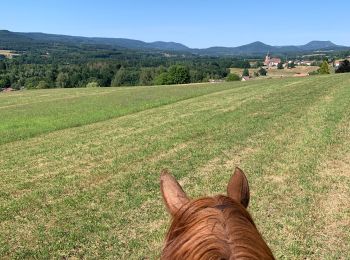 Trail Horseback riding Ban-de-Sapt - Belle Fosse - Ban de Laveline   - Photo