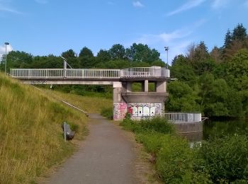 Excursión A pie Ober-Ramstadt - Rundwanderweg Ober-Ramstadt Am Heideacker 2: Silberberg-Weg - Photo