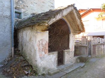 Tour Zu Fuß Pieve Vergonte - A47 - Pieve Vergonte - Pizzo Camino - Photo