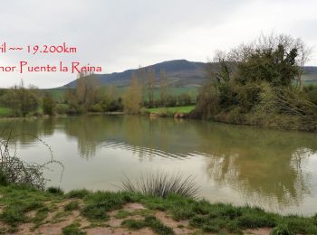 Trail Walking Cizur - 15.04.18 Cizur Menor--Puente l Reina - Photo