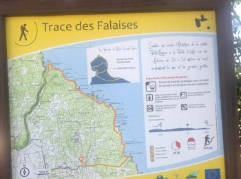 Trail Trail Anse-Bertrand - Habitation la mahaudière  - Photo
