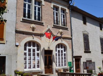 Tour Zu Fuß Mas-Cabardès - Le chemin du Carnier - Photo