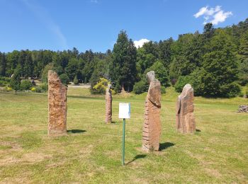 Tocht Stappen Le Hohwald - Par les sommets autour du Hohwald - Photo