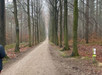 Trail Walking Oud-Heverlee - Meerdael  - Photo